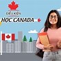 Điều Kiện Du Học Định Cư Tại Canada Cần Bao Nhiêu Tiền Việt Nam