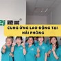 Tuyển Dụng Lao Động Ở Hải Phòng