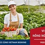 Visa Nông Nghiệp Tại Úc Bao Nhiêu Tiền Một Tháng